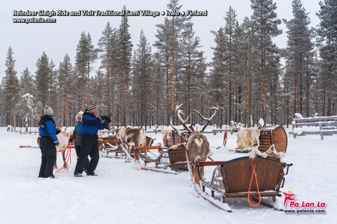7 Days in Lapland